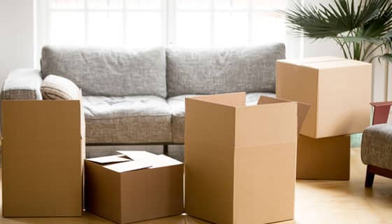 Cardboard Cartons Ready for Moving — Caloundra Removals & Storage in Sunshine Coast, QLD