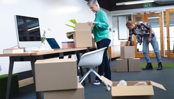 Unpacking Cartons in the Office — Caloundra Removals & Storage in Sunshine Coast, QLD
