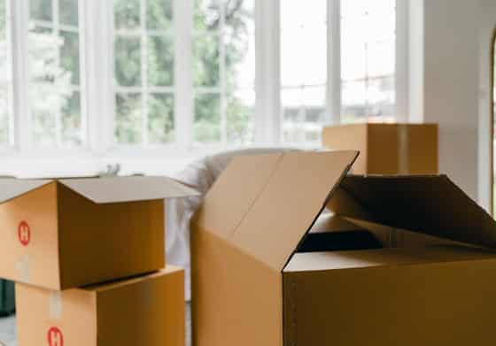 Cardboard Boxes in the Living Room — Caloundra Removals & Storage in Sunshine Coast, QLD