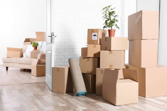Moving Boxes For Different Things — Caloundra Removals & Storage in Warana, QLD