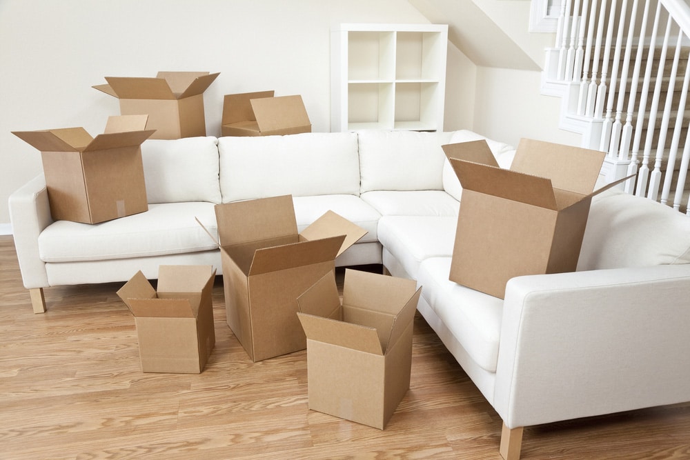 Cardboard Boxes And White Sofa