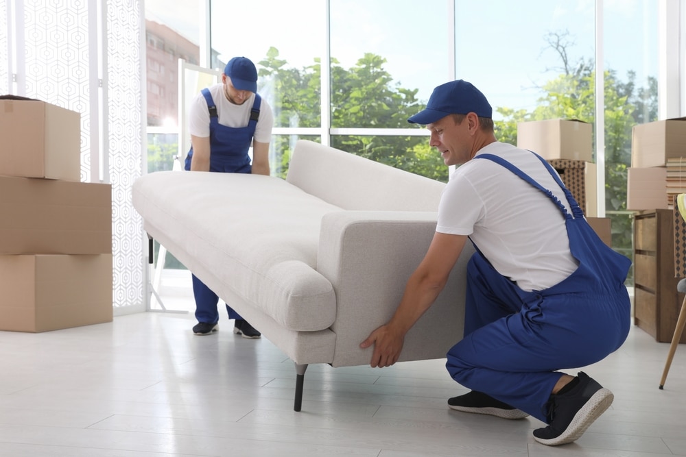 removalist