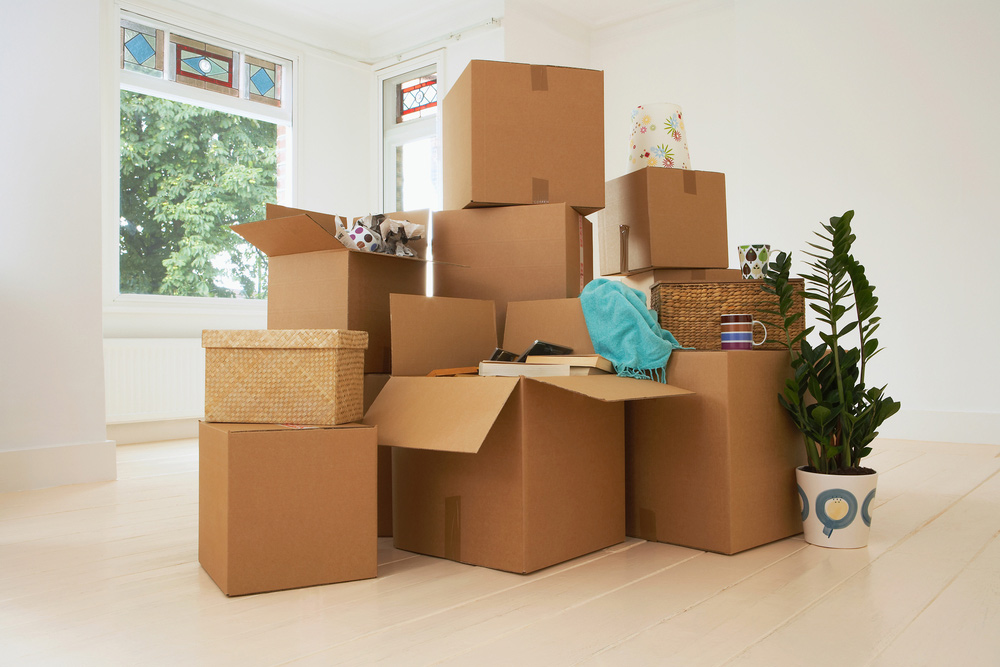 Moving Boxes Filled With Household Items
