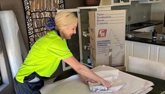 Woman Packing Plates Properly For Moving — Caloundra Removals & Storage in Sunshine Coast, QLD
